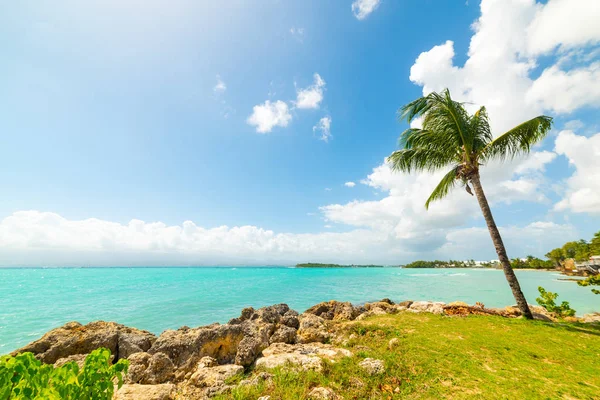 Guadeloupe Bas du Fort güzel sahil — Stok fotoğraf