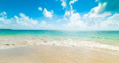 Guadeloupe'da berrak su ve mavi gökyüzü