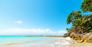 Guadeloupe La Datcha plajda Turkuaz su