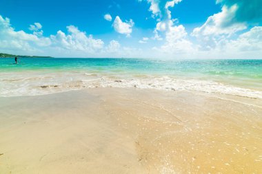 Guadeloupe'da sörf tahtasında kürek çeken adam