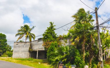 Guadeloupe bir harabe tarafından Tropikal bitki örtüsü