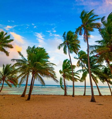 Guadeloupe Bois Jolan plajda gün batımı