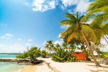 Guadeloupe La Caravelle sahil kıyısı