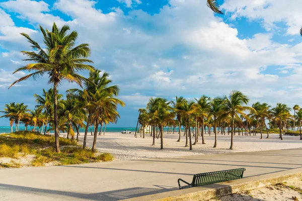 Pôr do sol no parque Crandon em Key Biscayne — Fotografia de Stock