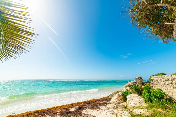 Raisins Clairs spiaggia in Guadalupa — Foto Stock