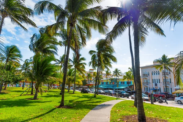 Palmové stromy ve světově proslulých oceánských Jezdích za slunečného dne — Stock fotografie