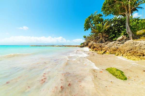 Guadeloupe La Datcha plajda berrak su — Stok fotoğraf