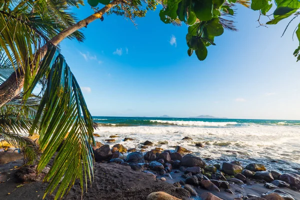 Pláž Grande Anse na Guadeloupe — Stock fotografie