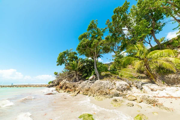 Água limpa em La Datcha praia em Guadalupe — Fotografia de Stock