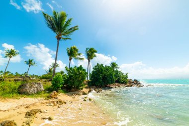 Guadeloupe Güzel Bas du Fort plaj