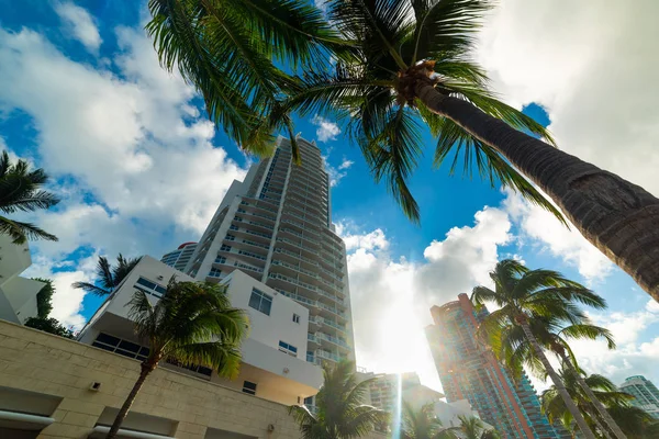 Pálmafák és felhőkarcolók Miami Beachen naplementekor — Stock Fotó
