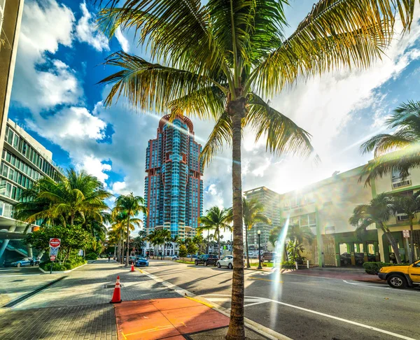 Palmové stromy a mrakodrapy pod zářným sluncem v Miami Beach — Stock fotografie