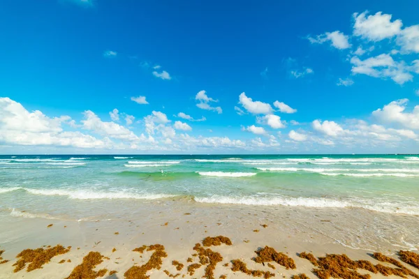 Miami Beach Shore op een zonnige dag — Stockfoto