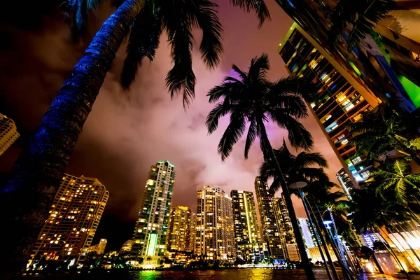 Palmeras y rascacielos en Miami Riverwalk — Foto de Stock