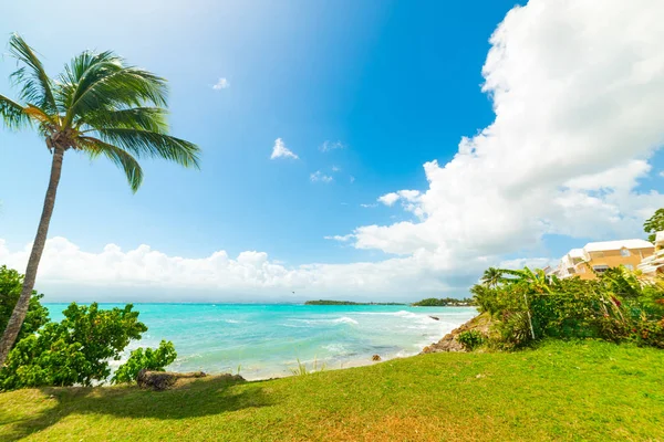 Guadeloupe Bas du Fort plajda yeşil çim ve mavi deniz — Stok fotoğraf