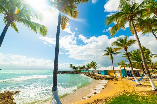 Guadeloupe güzel Bas du Fort plaj üzerinde parlayan Güneş — Stok fotoğraf