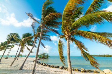 Florida Keys Güzel Sombrero Beach