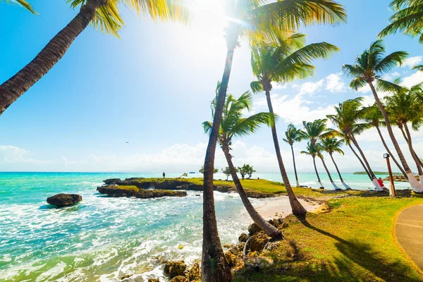 Vackra bas du fort havet i Guadeloupe — Stockfoto