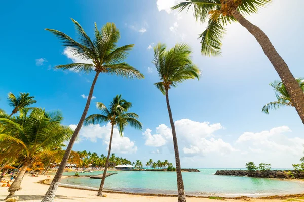 Guadeloupe Bas du Fort plaj üzerinde Mavi gökyüzü — Stok fotoğraf