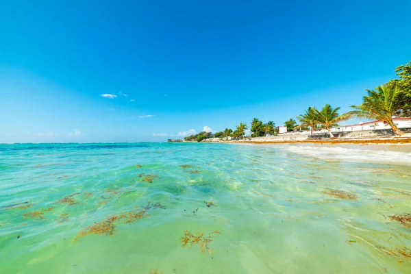 Clear water in Raisins Clairs beach in Guadeloupe — Stock Photo, Image