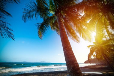 Guadeloupe gün batımında Grande Anse plaj
