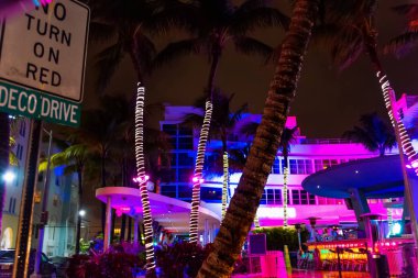 Miami Beach gece renkli binalar ve palmiye ağaçları
