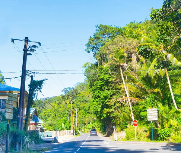 Landstraße im schönen Guadeloupe — Stockfoto