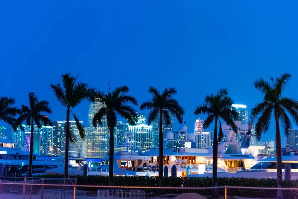 Pálmafák, jachtok és felhőkarcolók Miamiban éjjel — Stock Fotó