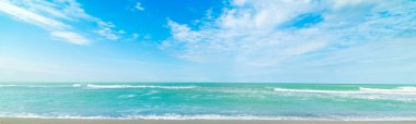 Siesta Key plajında turkuaz su ve mavi deniz
