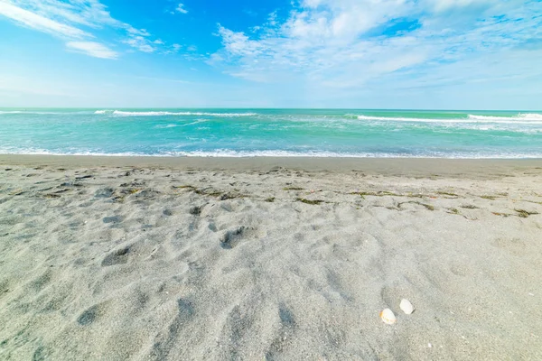 Agua turquesa en la playa Siesta Key —  Fotos de Stock