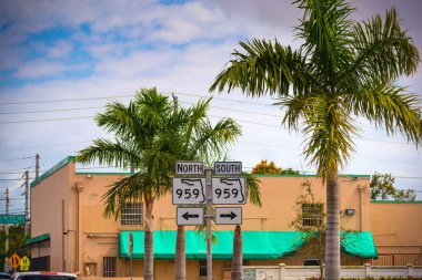 Florida 959 Miami palmiye ağaçları altında State Road işaretleri