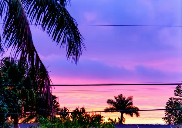 Amanecer púrpura y rosa en Miami — Foto de Stock