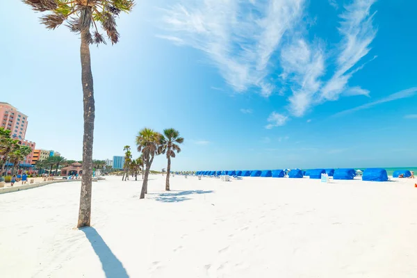 Arena blanca y palmeras en la playa de Clearwater — Foto de Stock