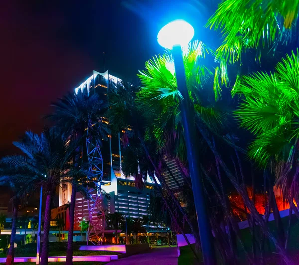 Gece Miami şehir merkezinde palmiye ağaçları — Stok fotoğraf