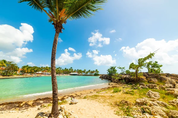 Pláž bas du Fort na Guadeloupe — Stock fotografie