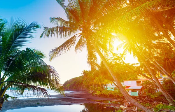Gün batımında Guadeloupe Grande Anse kıyısında parlayan güneş