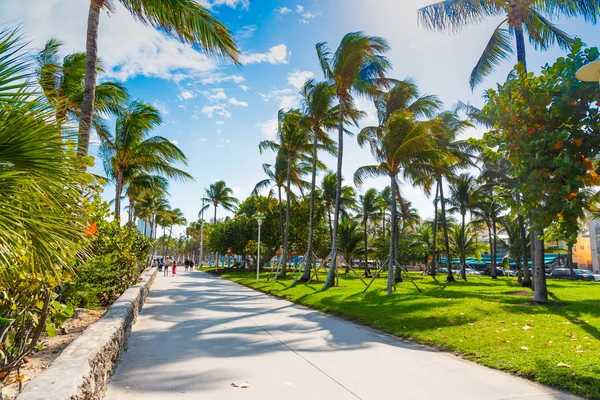 Pasarela peatonal en Lummus Park en Miami Beach — Foto de Stock