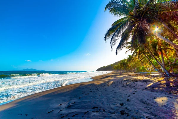 Aurinko paistaa läpi palmujen Grande Anse rannalla Guade — kuvapankkivalokuva