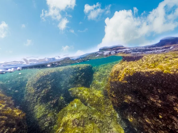 Split Underwater utsikt över sjögräs och klippor i Sardinien Sea FLoo — Stockfoto