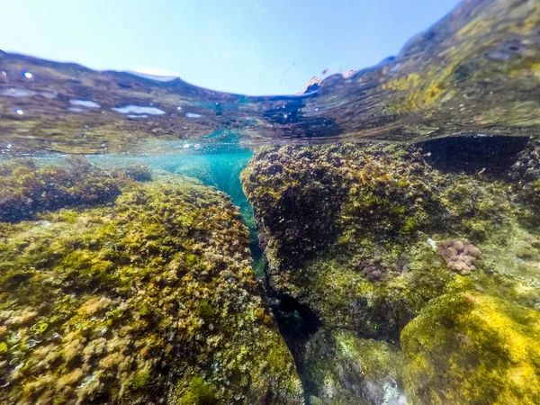 Split Underwater utsikt över Sardinien Rocky havsbotten — Stockfoto