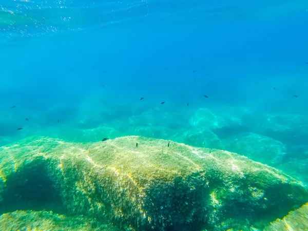 Υποβρύχια προβολή Αλγκέρο τιρκουάζ θάλασσα — Φωτογραφία Αρχείου