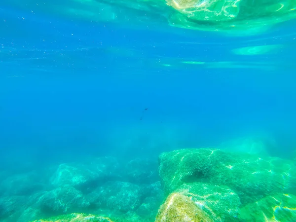 Vista subacquea del mare blu di Alghero — Foto Stock