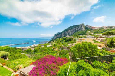 Capri adasında renkli sahil şeridi