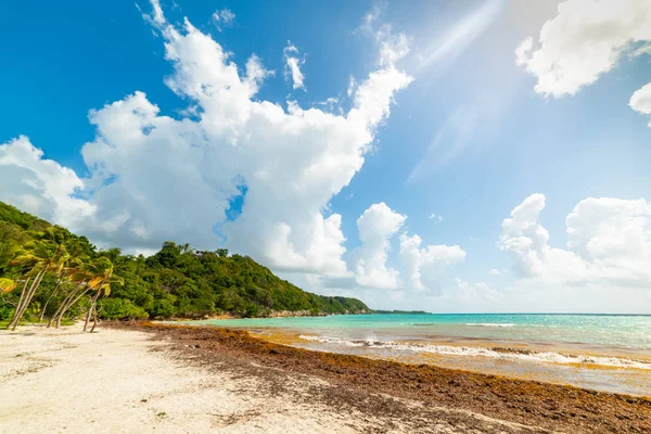 Spiaggia di Pointe de la Saline in Guadalupa — Foto Stock