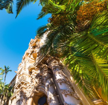 Balboa Park'ta palmiye ağaçlarıyla çevrili Casa del Prado