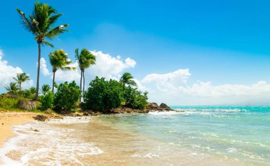 Guadeloupe'da altın kum ve mavi deniz