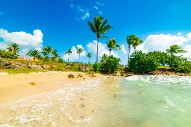 Guadeloupe Gosier kıyısında Renkli sahil