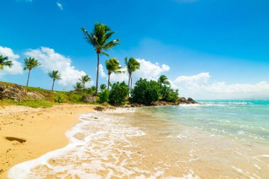 Guadeloupe'da altın kum