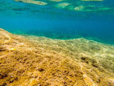 Sardunya'da sarı kayaların ve mavi denizin sualtı görünümü