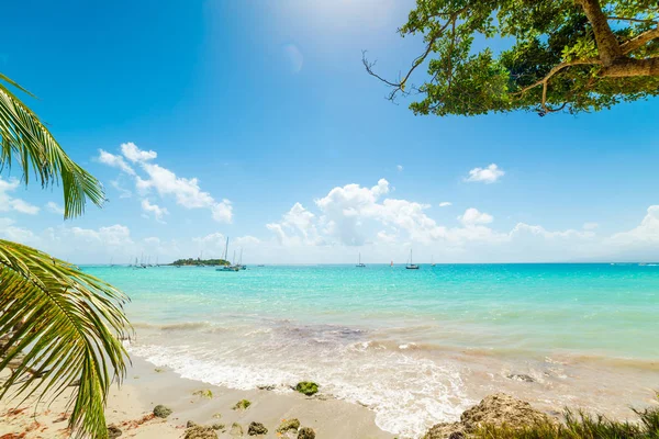 Turkos havet i La Datcha stranden i Guadeloupe — Stockfoto